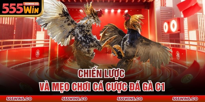Chiến lược và mẹo chơi cá cược đá gà C1