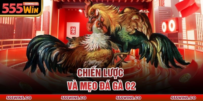Chiến lược và mẹo đá gà C2