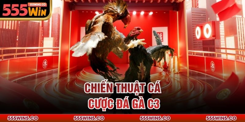 Chiến thuật cá cược đá gà C3