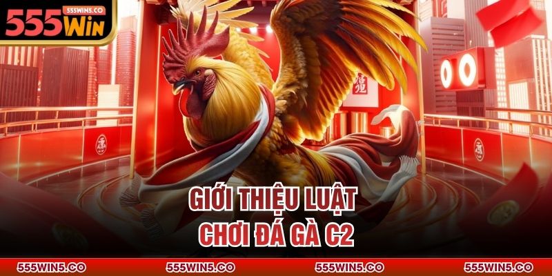 Giới thiệu luật chơi đá gà C2