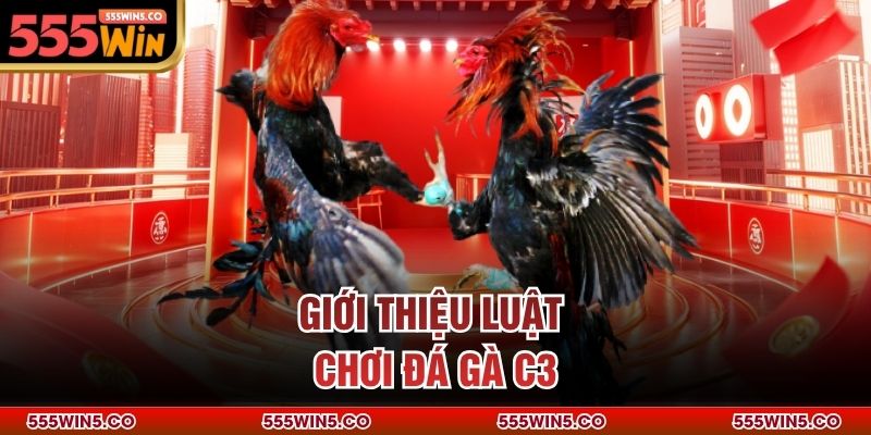 Giới thiệu luật chơi đá gà C3
