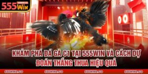 Khám Phá Đá Gà C1 Tại 555Win Và Cách Dự Đoán Thắng Thua Hiệu Quả