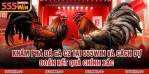 Khám Phá Đá Gà C2 Tại 555Win Và Cách Dự Đoán Kết Quả Chính Xác