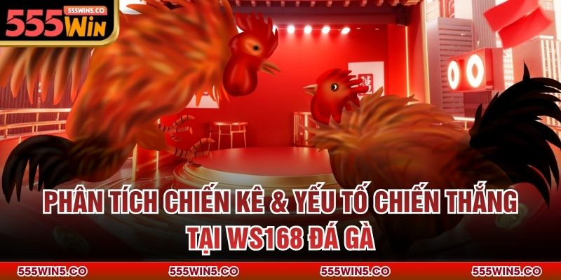Phân tích chiến kê & yếu tố chiến thắng tại WS168 đá gà