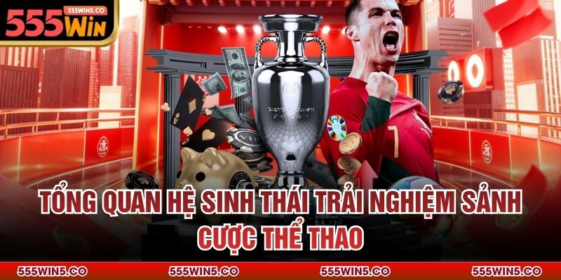 Tổng quan hệ sinh thái trải nghiệm sảnh cược thể thao